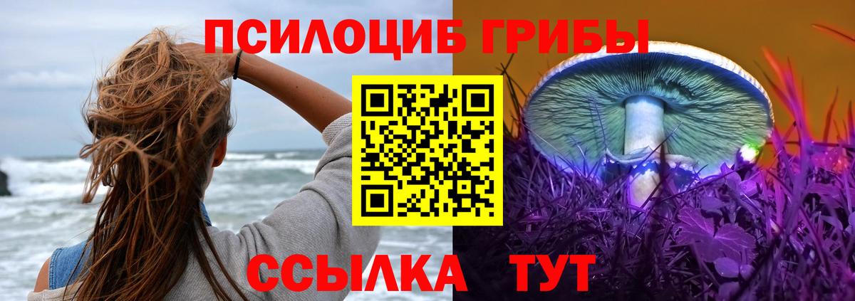 Псилоцибиновые грибы ЛСД Рязань